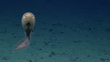 NƯỚC KHÔNG THỰC | Những địa điểm dưới nước có vẻ không thực