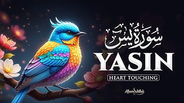 Surah Yasin (Yaseen) for Soothing | Relieve Stress, Depression & Anxiety | سورة يس #surahyasin
