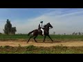 Horse riding karamati 2
