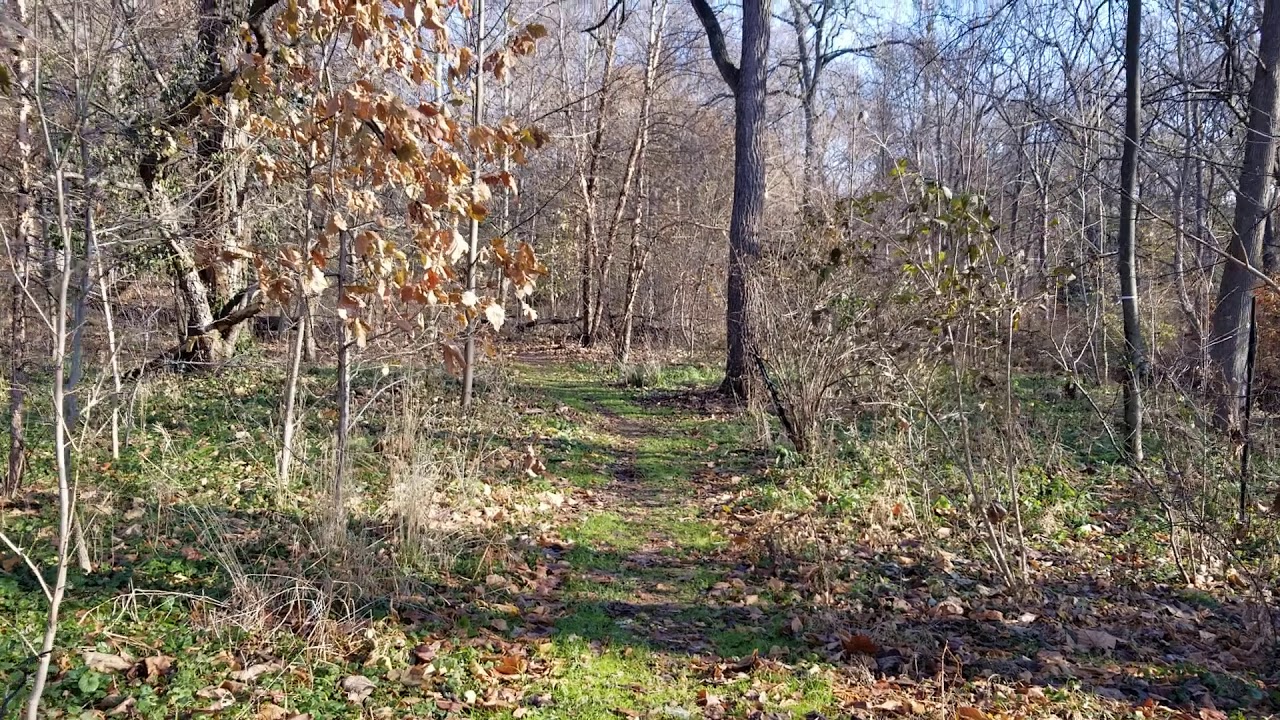 Ambler Borough Park (11/25/2019) YouTube