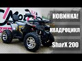 НОВИНКА! SharX 200 VS FORTE BRAVES 200: видеообзор и сравнительная характеристика