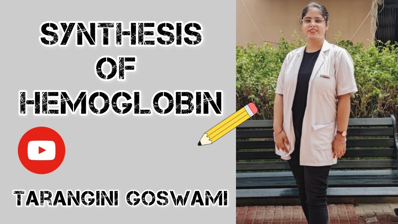 SYNTHESIS OF HEMOGLOBIN IN HINDI | Tarang Academy | Hemoglobin synthesis