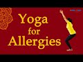 Yoga for Nasal Allergies | Sore throat | Congestion | runny nose remedy | allergic rhinitis | Bharat