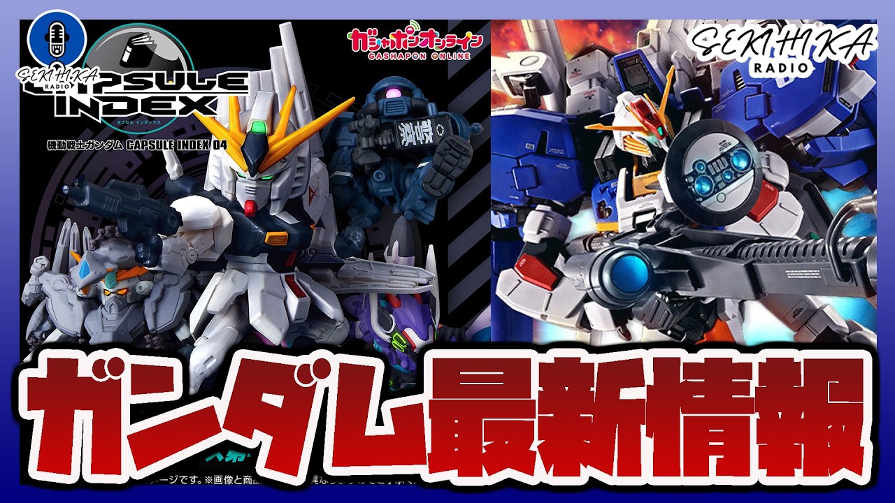 ガンプラ】プレバン限定 MG 1/100 Ex-Sガンダム/Sガンダム (タスク