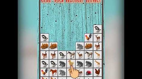 Pair Matching Puzzle Game-Onnect Master-L21-1:1