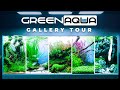 Green aqua gallery tour 2024  cinematic