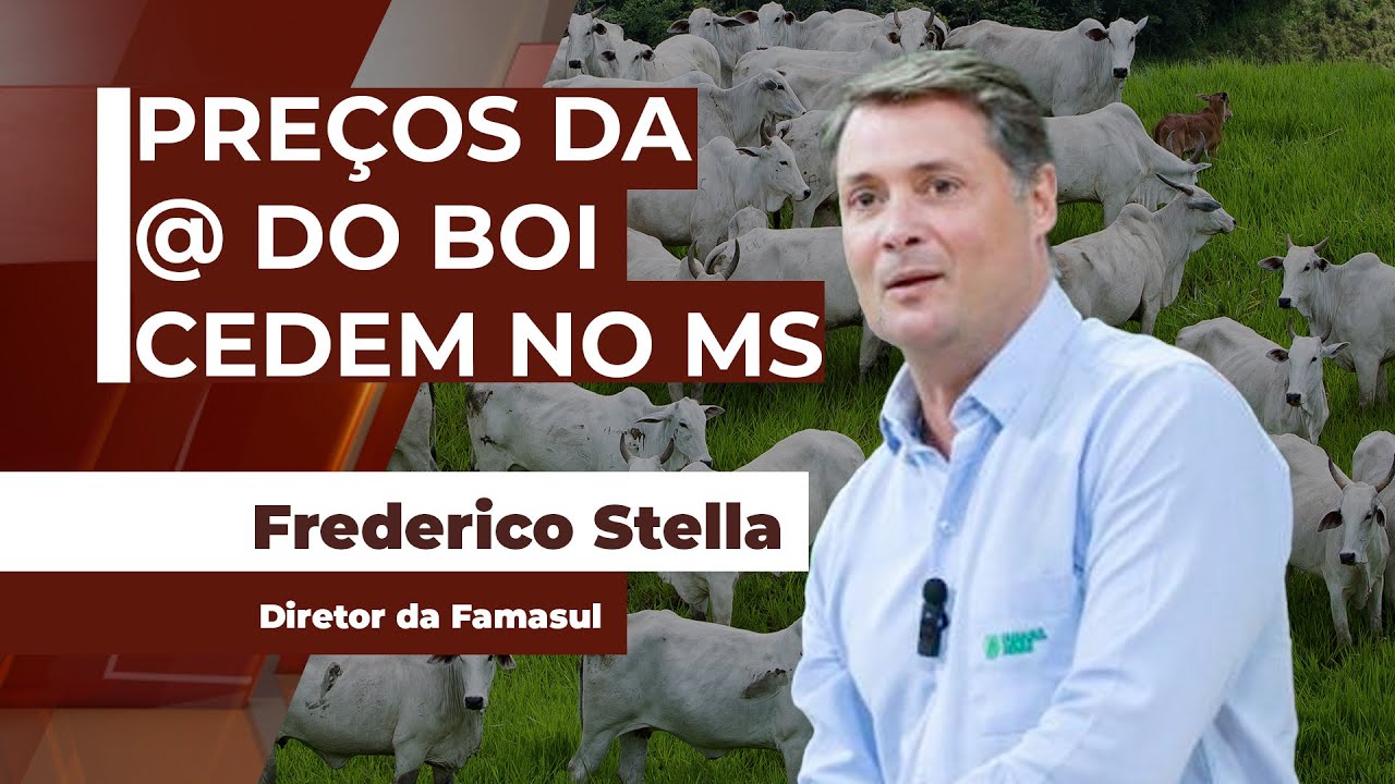 Saída de gado que estava confinado represado em novembro entra no mercado neste mês de dezembro ...