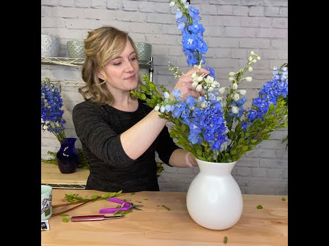 Video: Delphinium Hübriid