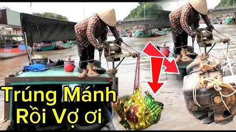 Thợ Lặn Mò Được Cá Chép Bằng Vàng Mà Vàng Giả Rất Tiết,,,,,,,,,,,,,,,,,,,,,,,,,,,,,,, Youtube Lây 67