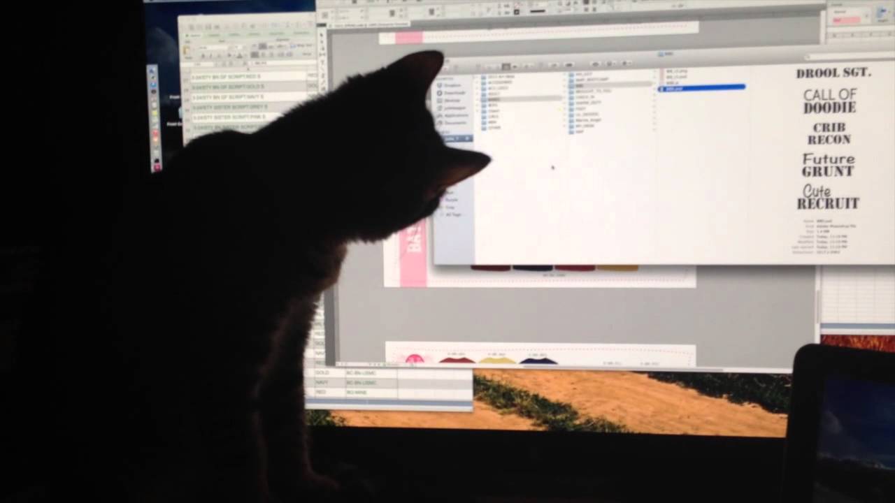 Cat vs Computer Mouse YouTube