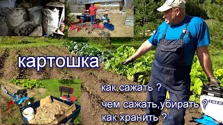 видео: НЕВА мб-2.Картошка от посадки до уборки и хранения.Весь сезон.Весь цикл с заводскими комплектующими. картинка: НЕВА мб-2.Картошка от посадки до уборки и хранения.Весь сезон.Весь цикл с заводскими комплектующими.