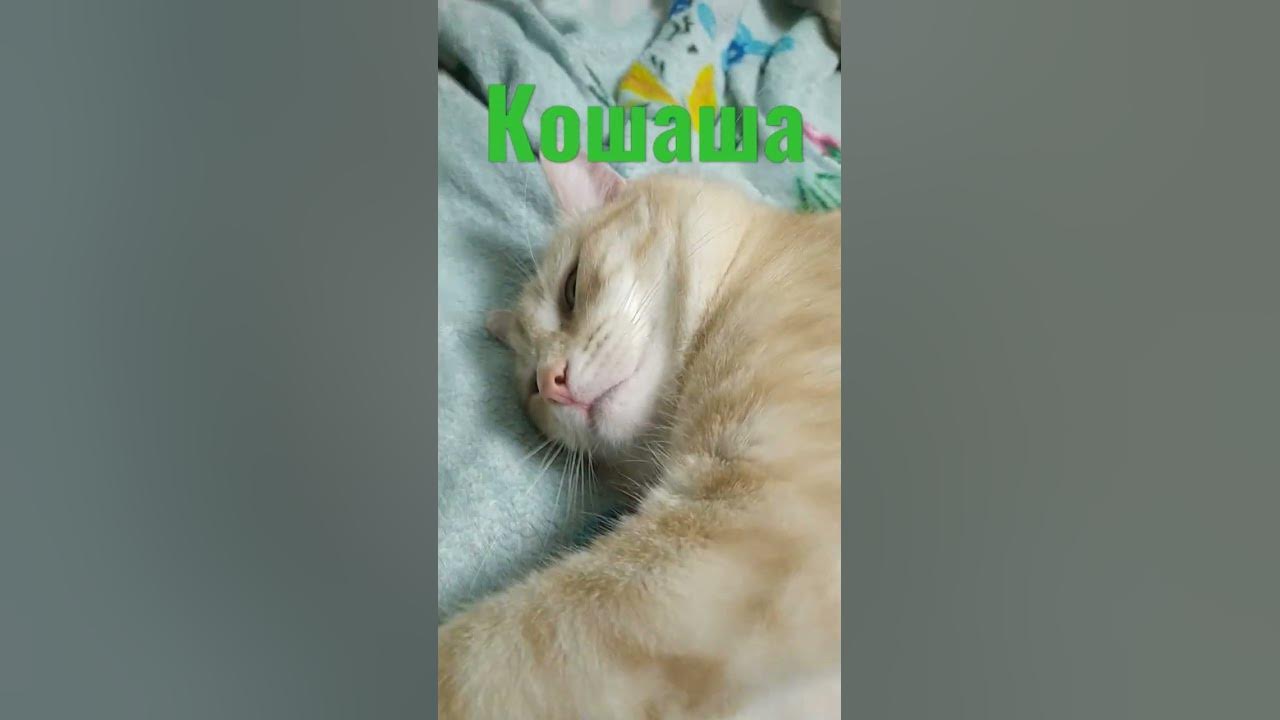 тмшр💯😁😾🤎😒😿😠😘😽😠😘😽😝😘🎉🤐😘😽🧠😾😽😠😘😽🧠😾😽🧠😾😽😘🤭😛😋😉😏😑😍😘😑🤩😘😔🥳🥰😎😵🌞🌞🌜🤕🌝🌜🤑🥵🥴🤑🥶🥴😙😚😘🥰😍🤩🥳🥺 ...