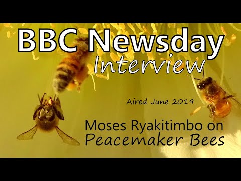 BBC Newsday interview