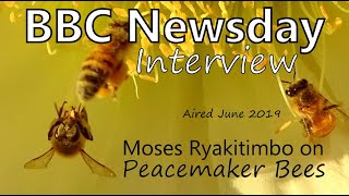 BBC Newsday interview with Moses Ryakitimbo Who Protects Farms and Saves Elephants with bees