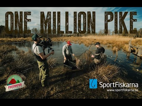 One Million Pike