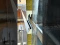 Installation of Insulated Sandwich Panels for Building Cladding