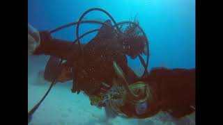 Ziltoid headbangs underwater