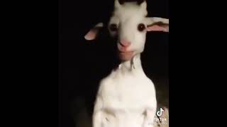 QUANDALE DINGLE SPECIAL (ONLYFANS)