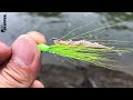 Simple Fishing Rig Catches EVERY SPECIES!