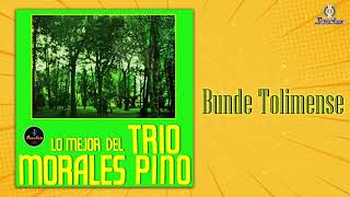 Lo Mejor Del Trio Morales Pino (ÁLBUM)  Remasterizado | Tradicional Colombiana