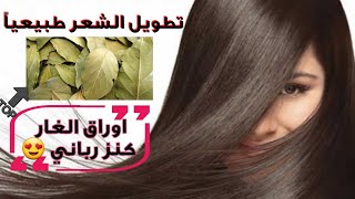 العشبة المعجزة في تطويل الشعر و ترطيبه ف 7 أيام (موجودة فكل بيت) ?