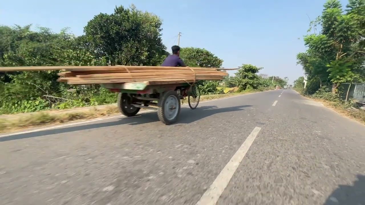 Fresh Observations from My Plant World