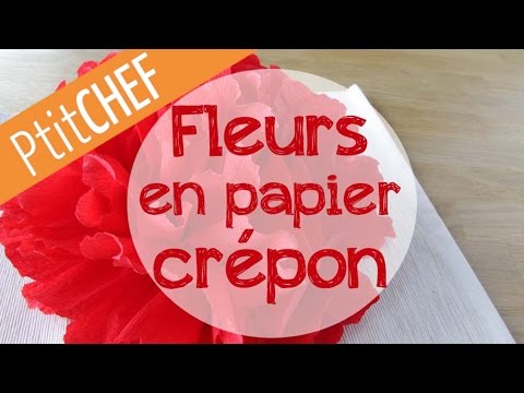 Tutoriel déco Fleur en papier crépon pour Noël, Ptitchef.com, Pas à pas,  Stop Motion - YouTube