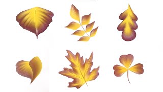 🍂 How to paint SIX Autumn Leaves: Maple, Oak, Ash, Lilac Leaf, Clover, Simple Leaf | One Stroke