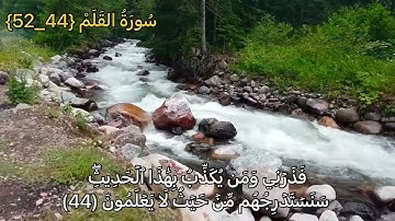 تلاوة تريح الأعصاب 😌😌#الشيخ_حمزة_درويش "حفظه الله"