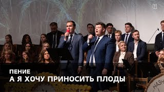 картинка: «А я хочу приносить плоды» - Пётр и Давид
