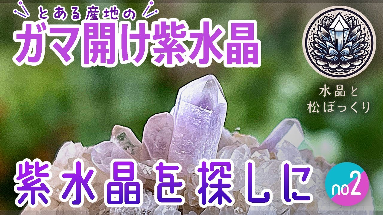 鉱物採集】紫水晶を探しに2 ガマ開け紫水晶【石拾い】 #紫水晶 - YouTube