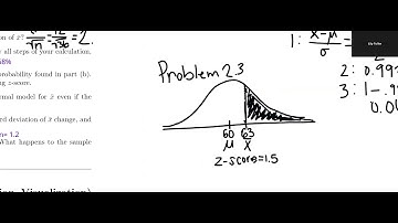 video homework three