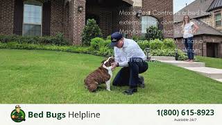 Top 3 Bed Bug Removal in Maryland City