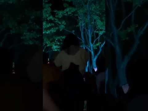 부산 원아시아 페스티벌  멜로망스_선물