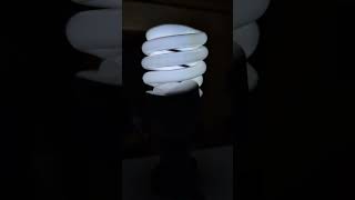 D15形11ワットE17口金のパルックボール クール色(Panasonic)#電球 #蛍光灯 #lamp #light