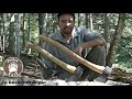 Bushcraft Débutants : Hache/Hachette (utilisation et sécurité)