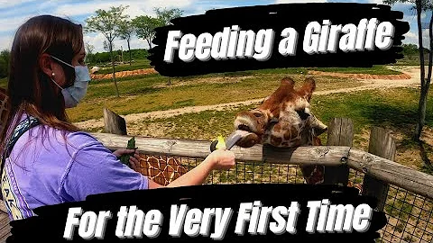 FEEDING A GIRAFFE FOR THE VERY FIRST TIME ||Columbus Zoo & Aquarium 2021|| [[Columbus, OH]]
