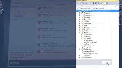 MVC AngularJs CRUD Operation Part-1