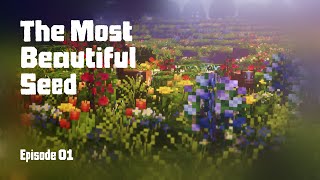 THE MOST BEAUTIFUL SEED! - 01