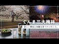 ぐんま三大梅林~新しい景色と体験を見つけに行こう。~|高崎行政県税事務所|群馬県
