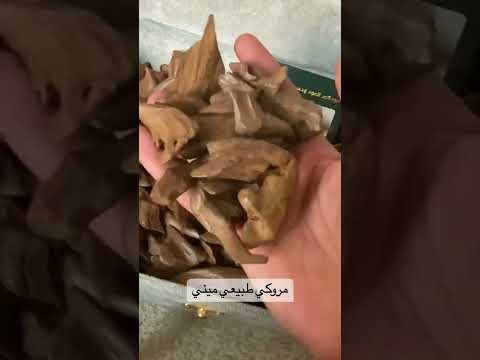 مروكي طبيعي ميني