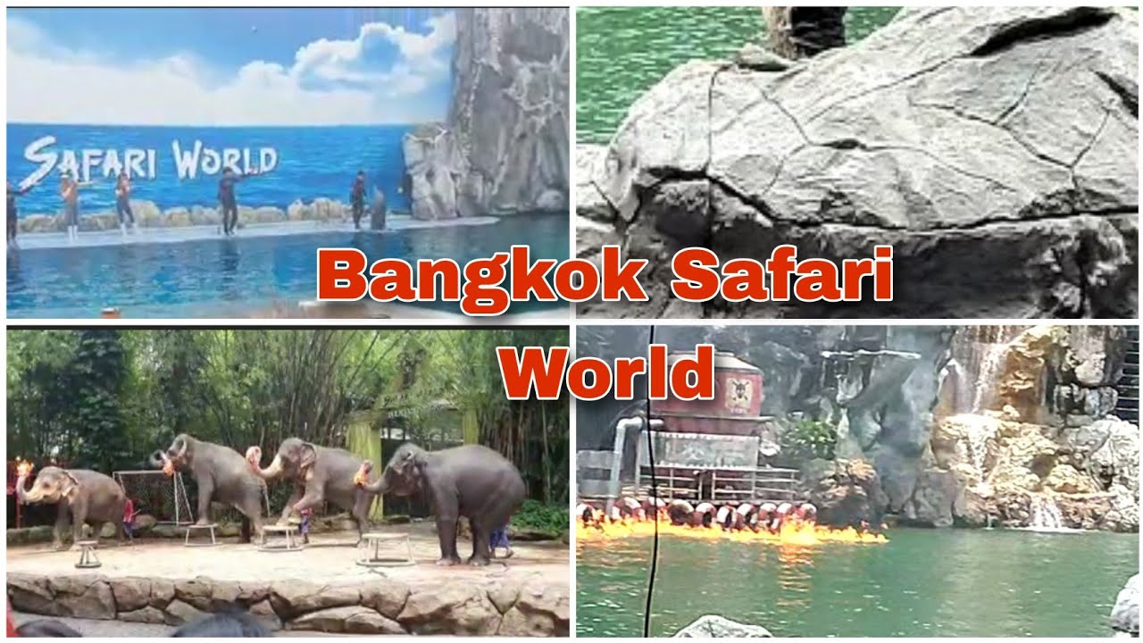 Safari World Bangkok Safari Marine Park Bangkok YouTube safari-world-marine-park-river-safari-bangkok-safariworld-most