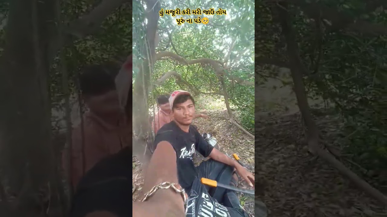 હું મજૂરી કરી મરી જાઉં તોય પૂરું ના પડે..#shortvideo #viral ગુજરાતી સોંગ રામાપીરનું જય બાબારી 🙏