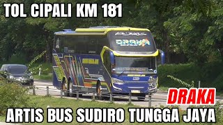 Ketemu Artis Bus Sudiro Tungga Jaya DRAKA !! Pesona Bus Di Tol Cipali KM 181 Ada Bus Apa Saja??