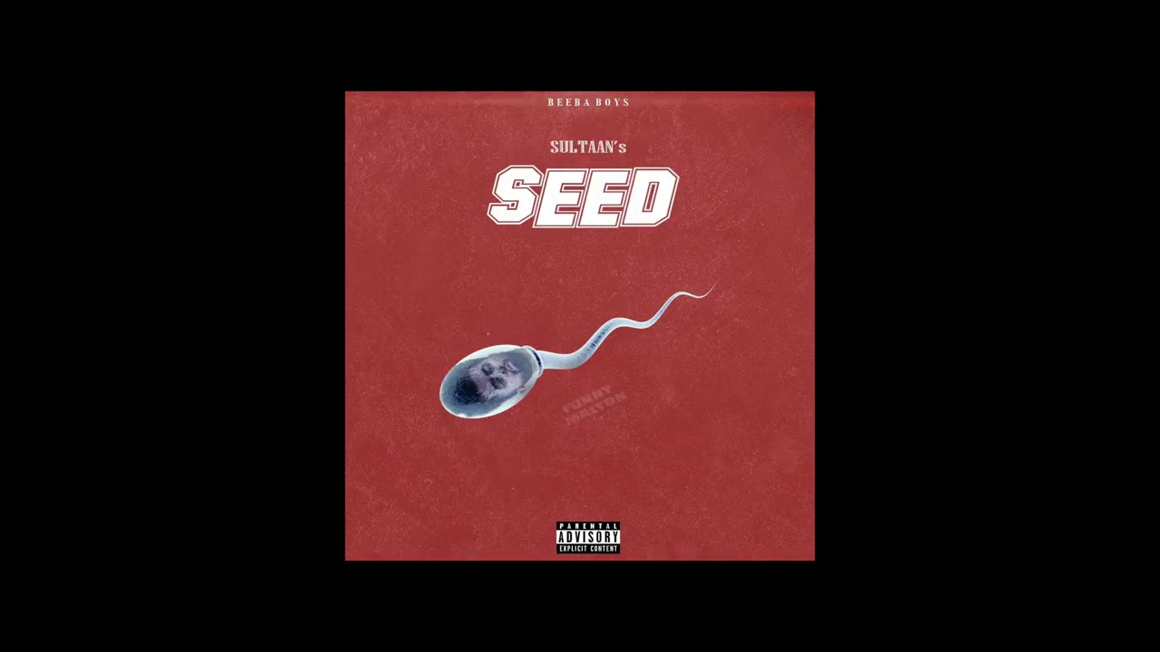 SULTAN song Seed video