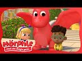 Echobird Adventure | Morphle and the Magic Pets | Available on Disney+ and Disney Jr | Kids Cartoons