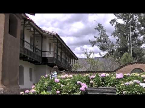 El Condor Pasa (en Peru!) Cover - Lila