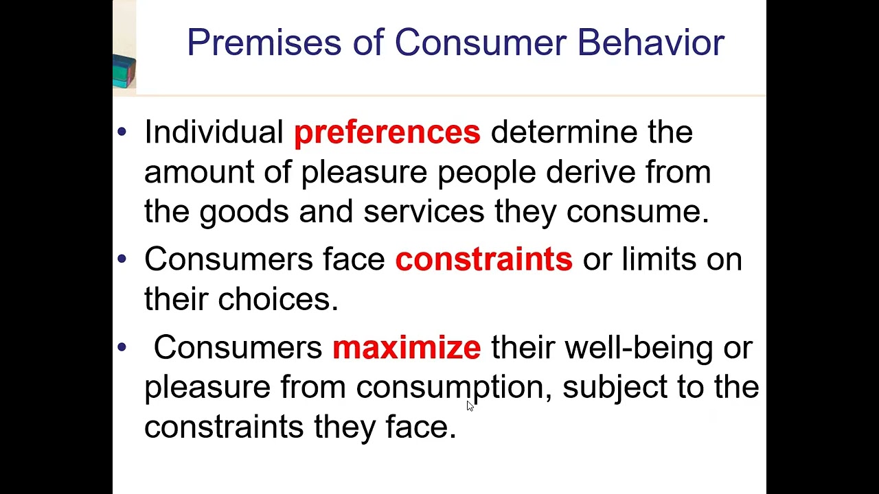 Consumer Preferences  Assumptions   Overview