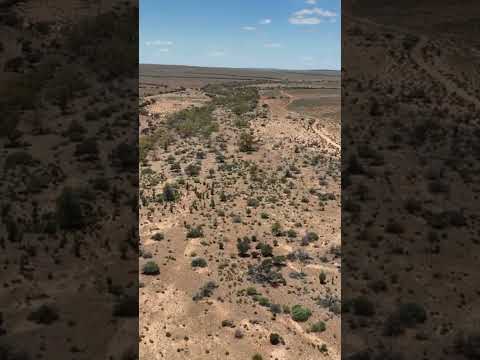 The Tanami Desert