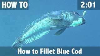 How to Fillet Cod: The fast easy way